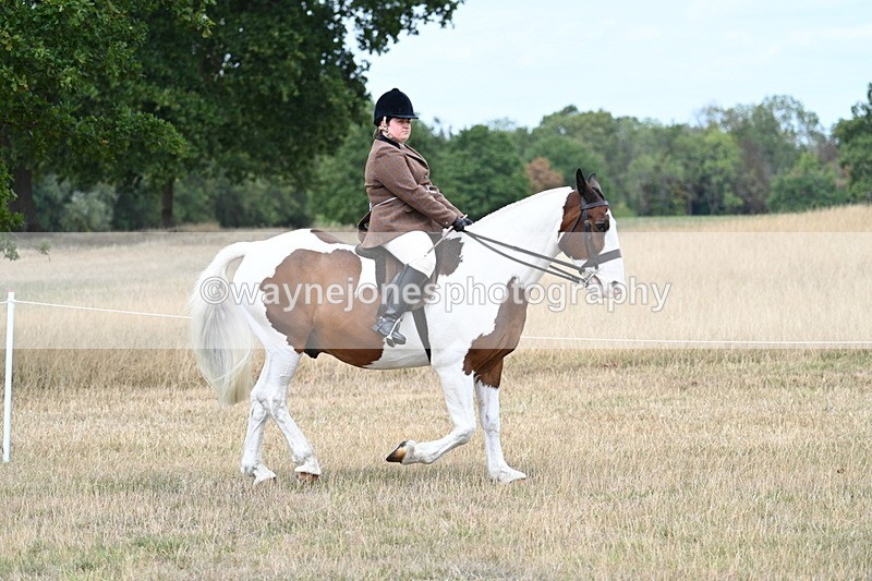 WJ7_4650 - Class 12 Ridden Cob
