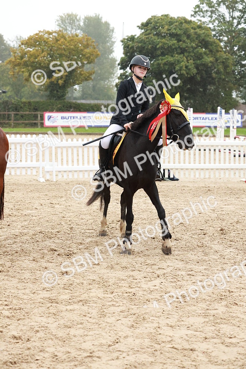 SBM_73607 - Supreme Championship Junior Pony 60cm & 65cm