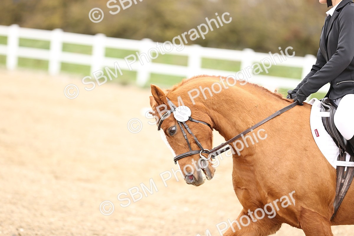 SBM_001490 - Class 5 - Prelim 1