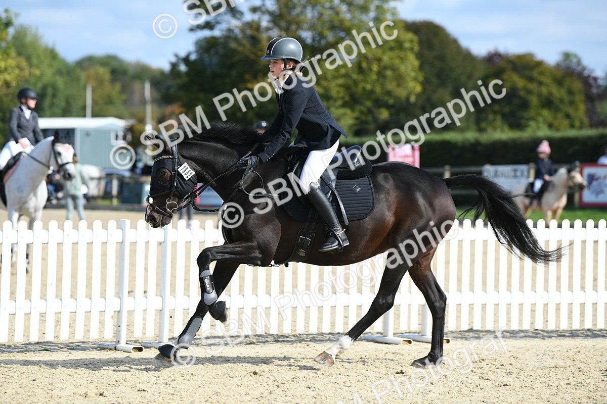 SBM_61755 - j25 - Junior Horse 80cm Championship