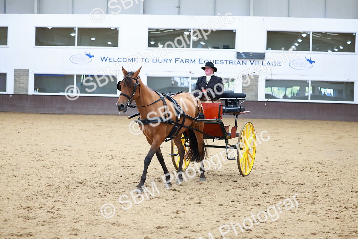 SBM_001072 - Class 15 - Open Showmans Class