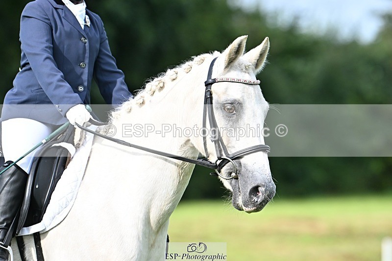 230826-091050-15960 - Sections A & B - 9 to 10am