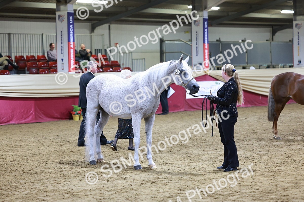 SBM_21222 - Class R - Veteran Champ