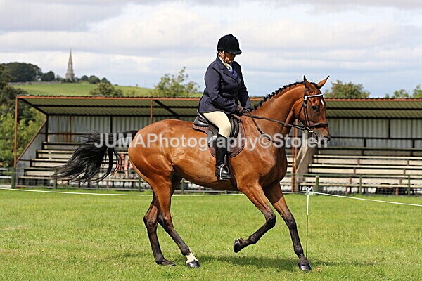 SIAL7324 - Ring 1 & 3