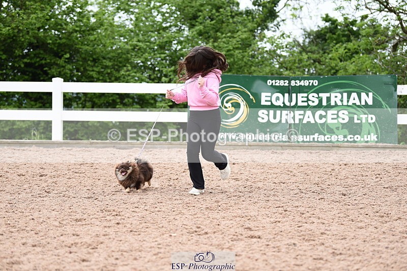 240518A-112056-00754 - Cls 1 Cutest Puppy