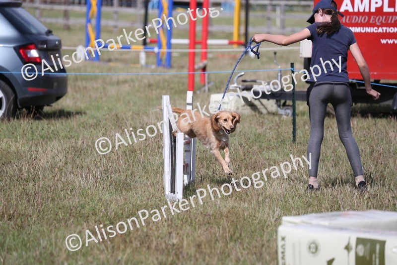 20260906-3458 - Class 34 - Dog Agility