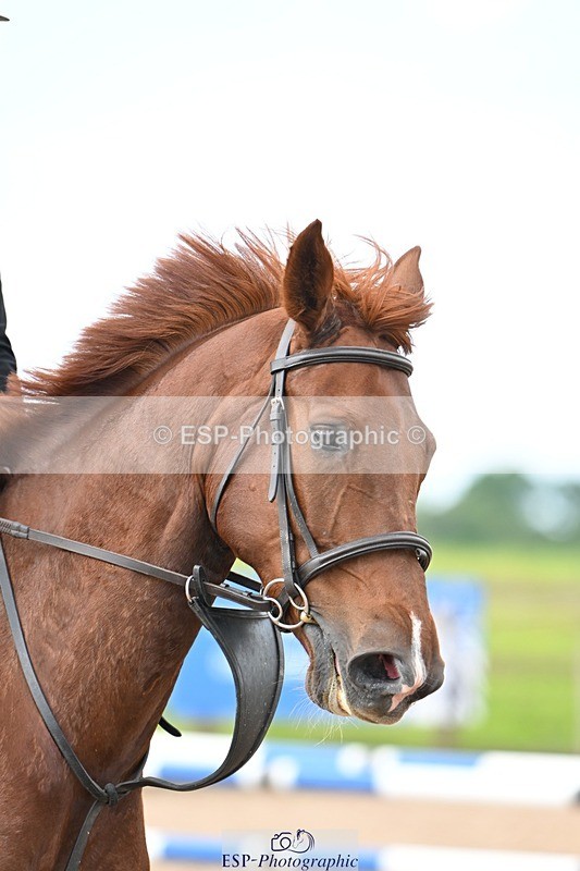 250611-102350-00111 - Cls 1 Brit Novice & 90cm Open