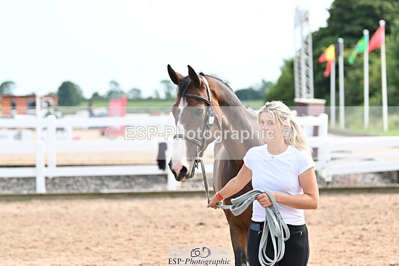 240717A-162022-03418 - Trot Up 4pm to 5pm