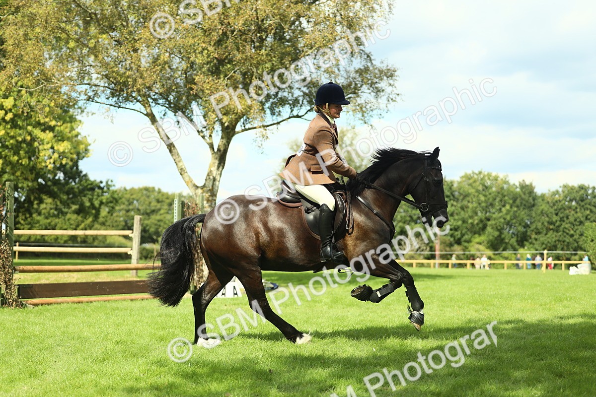 SBM_42877 - S30 - M&M Working hunter Pony