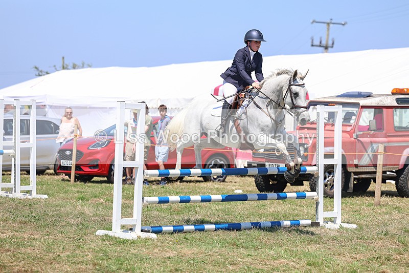 3E7A4397 - Class 10: Senior British Novice/90cm open