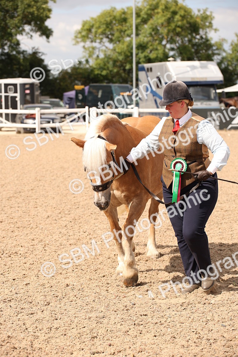 SBM_04663 - Class 20 IH Veteran