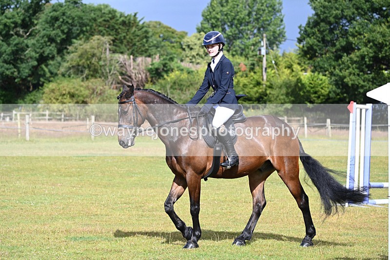 WJ6_8502 - Class 9 Tack & Turned out