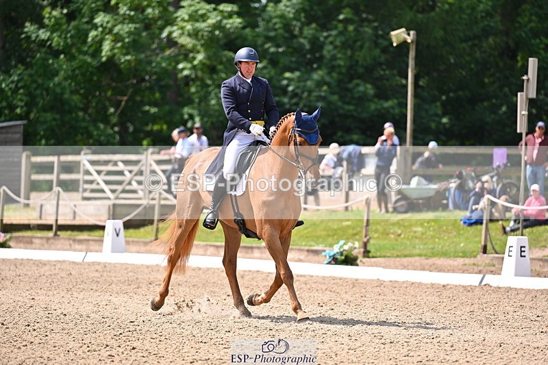 250523A-113526-06589 - C-273-Tim.Cheffings-HEARSAY.LARK.RISING