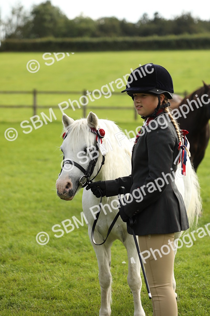 SBM_68711 - S40 - Junior Handler 9-12 Years