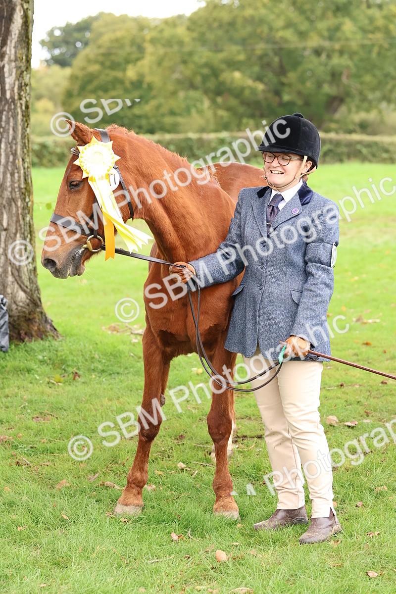 SBM_41756 - S26 - Mature Veteran In Hand