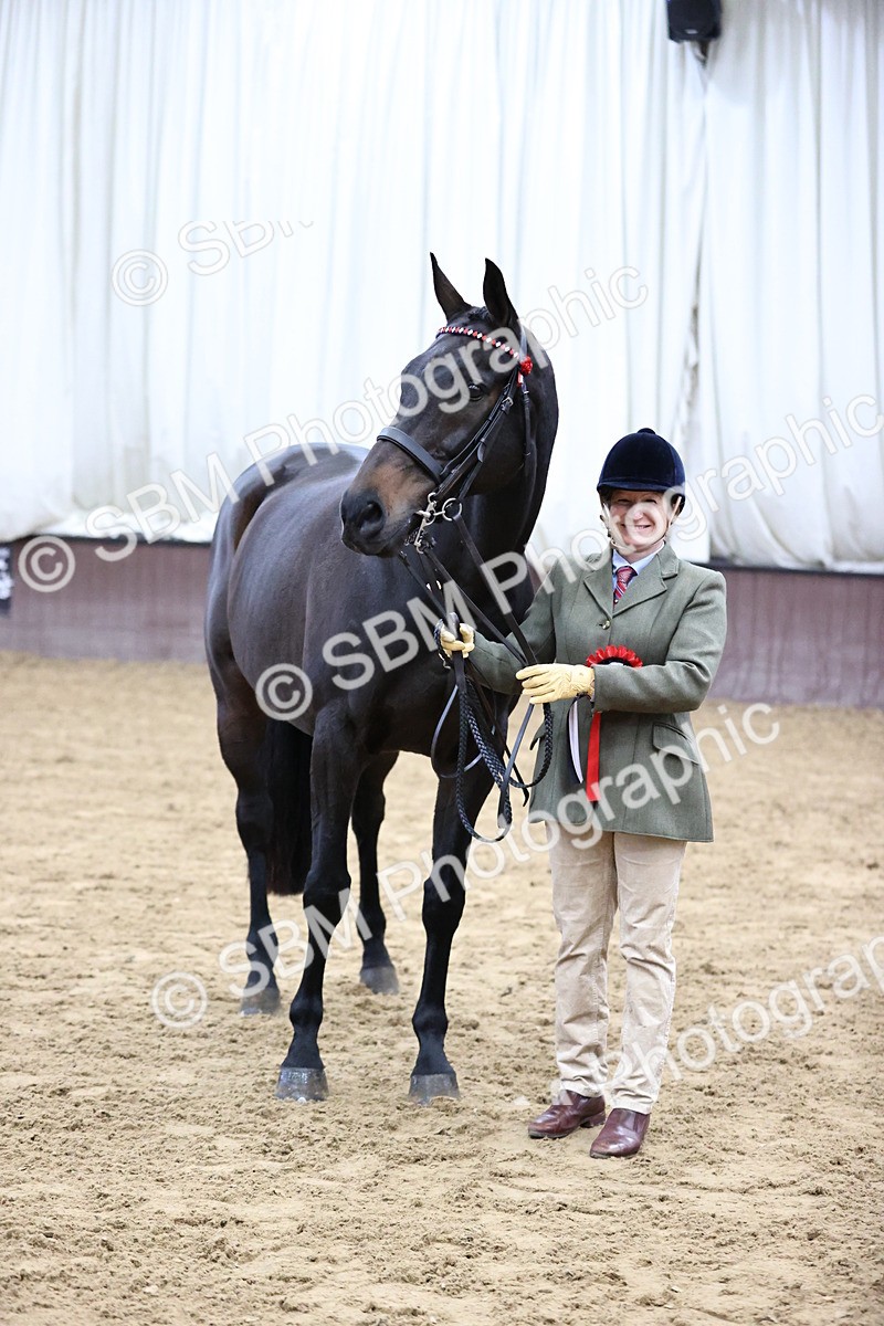 SBM_5772 - Class 3 - BSHA In Hand Show Hunter