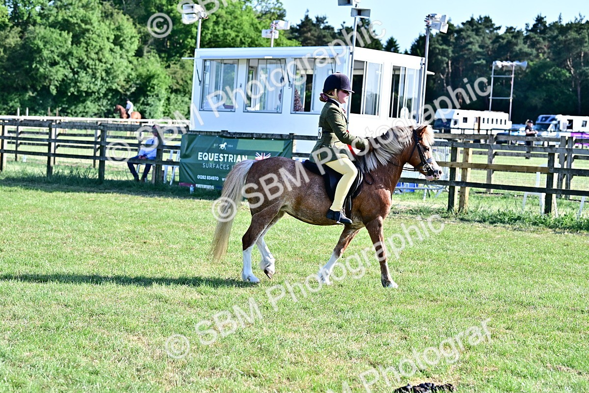 SBM_19862 - Class 103 - 105 - TSR Ridden Amateur of the Year Plaited Ponies