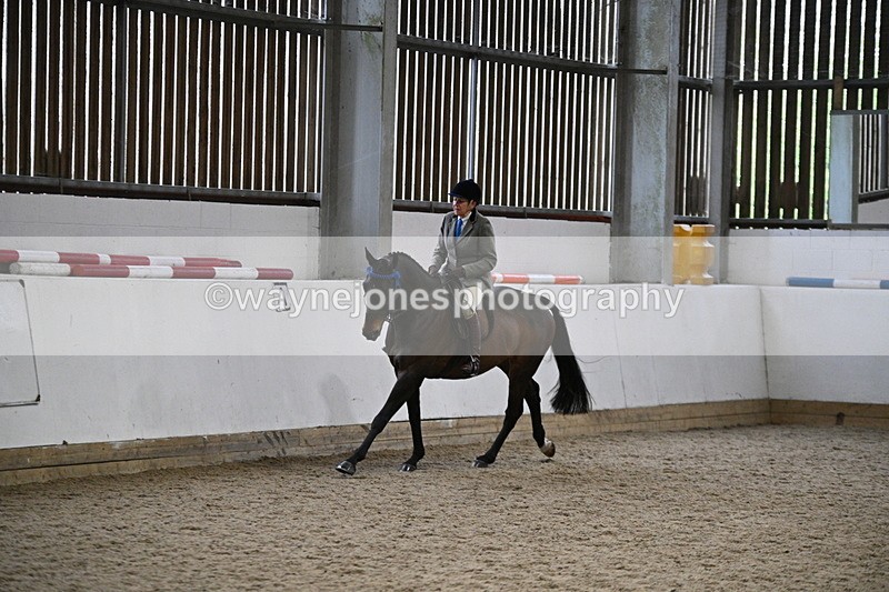WJ7_4273 - Class 17 Ridden Cob