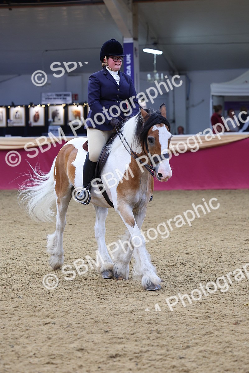 SBM_23775 - Class 904 - Supreme Final Ridden Diamond