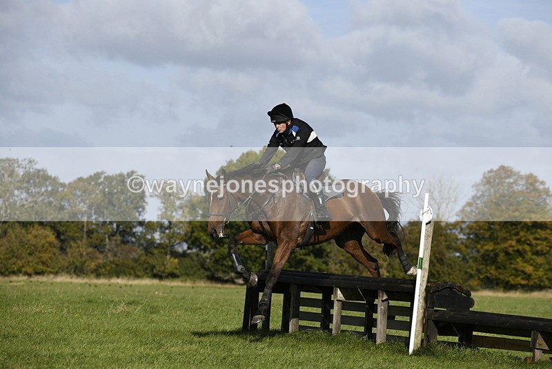 _DSC5503 - Time 10:49 to 11:23