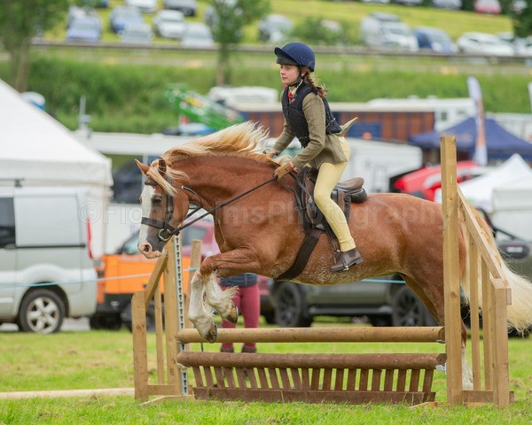 Dunblane show-170 - Dunblane and Doune Show Ring 1