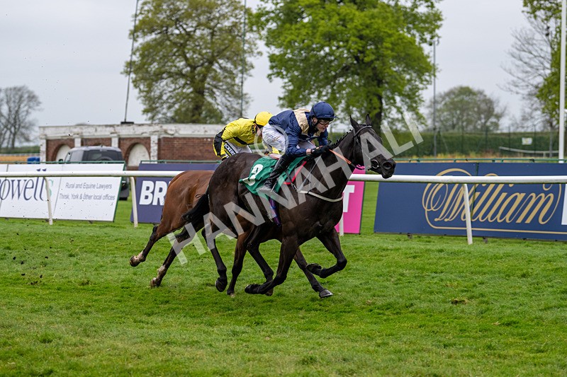 040524-Race 6-Vocal Studies-4891 - Race 6