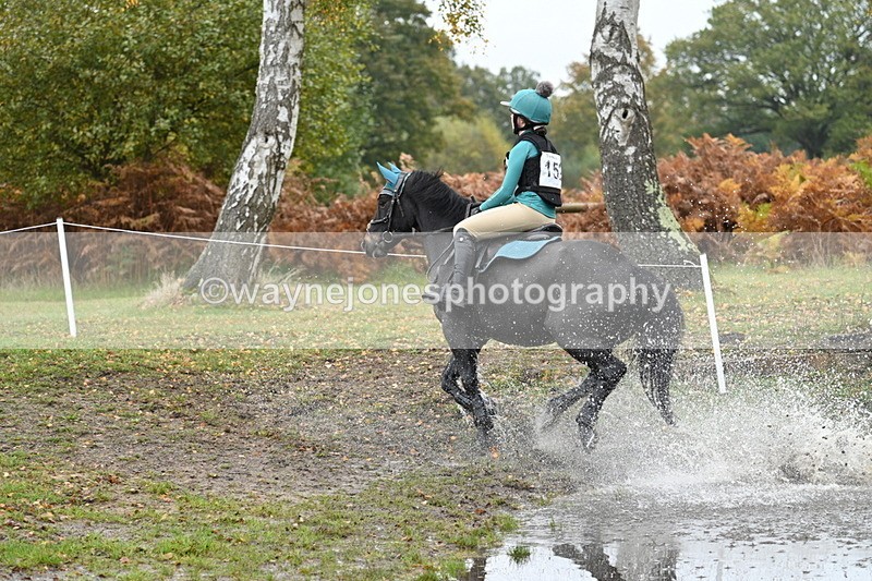 WJ7_1388 - 80cm Cam 2 Water Time 11:47 to 12:17