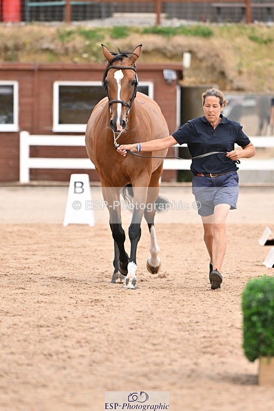 250716-151819-01851 - Trot Up 2.30 to 3.30