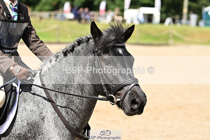 240824X-125457-25667 - 70cm Jump Off