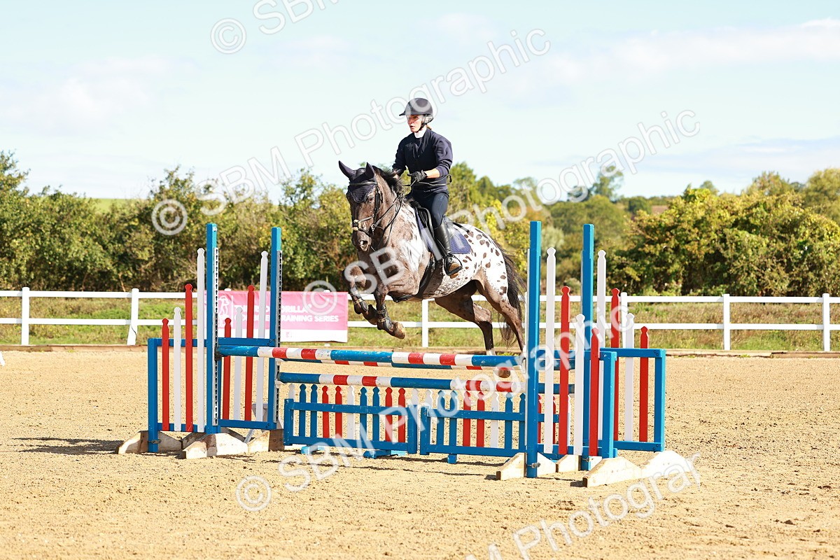 SBM_000393 - Class 2 - Senior British Novice - 90cm