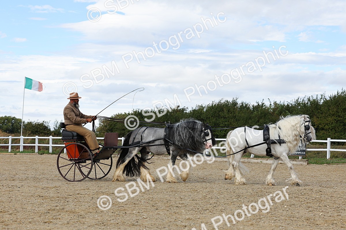 SBM_001201 - Class 16 - Pairs ,Multiples and Tandems