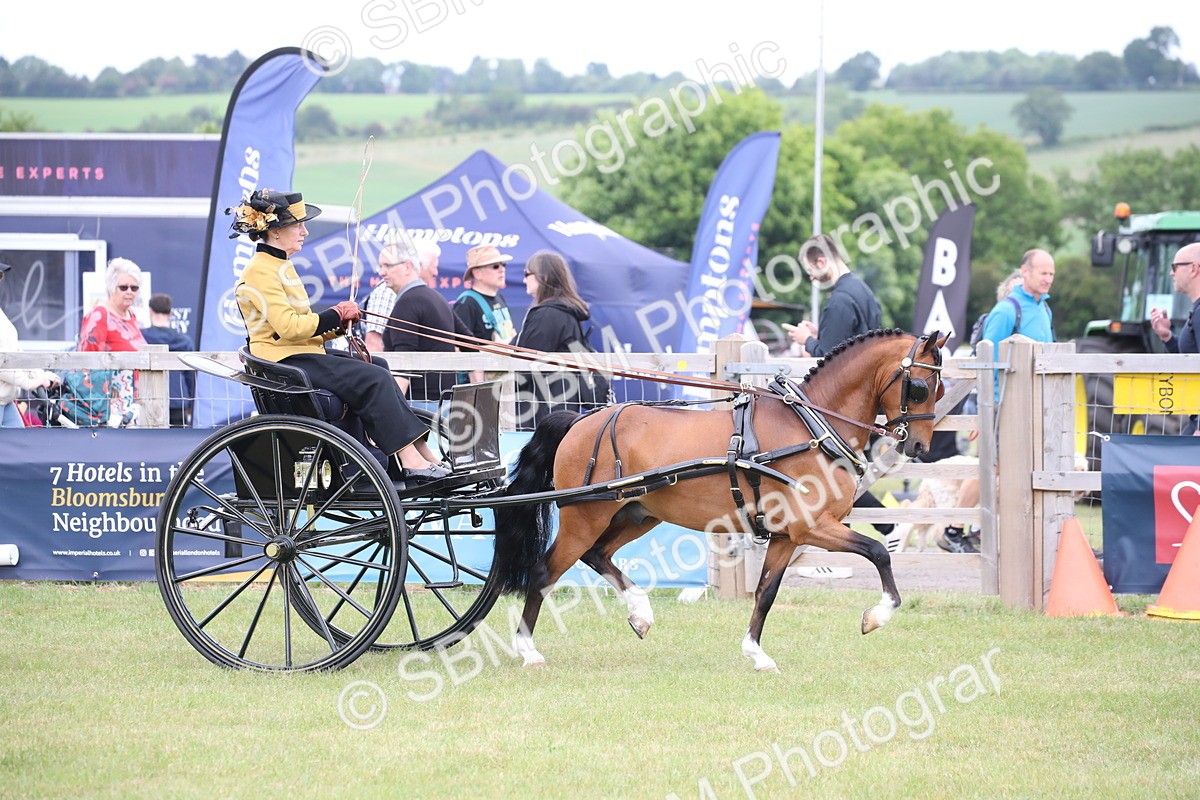 SBM_05811 - Class 12-15 - HOYS Private Driving