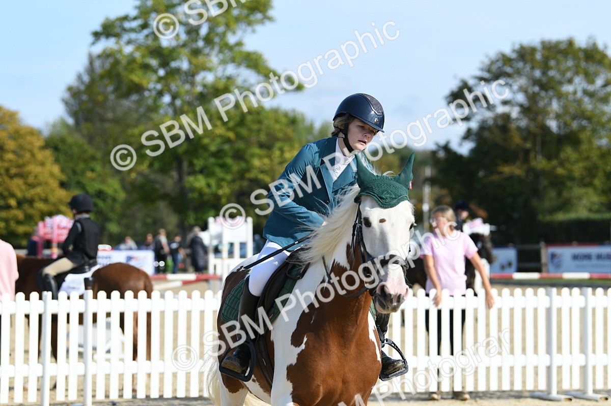SBM_61597 - j25 - Junior Horse 80cm Championship