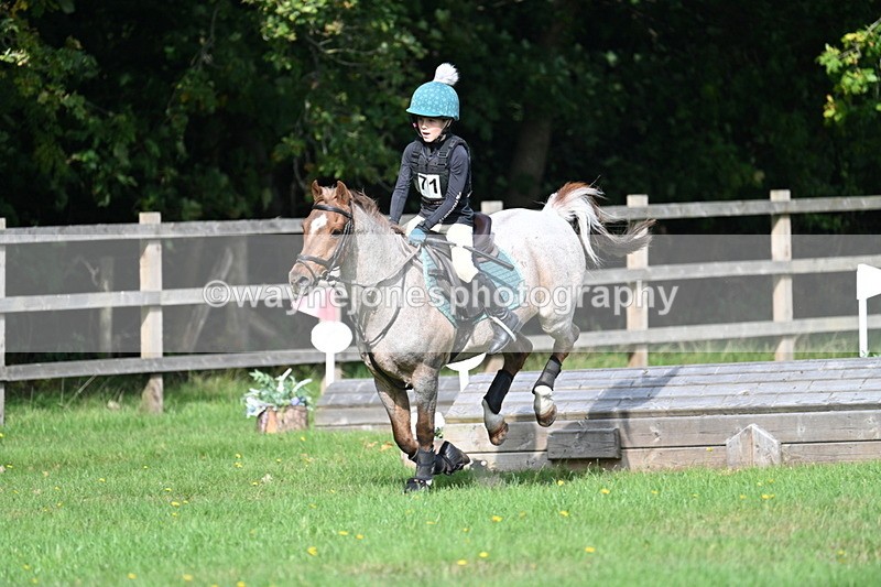 WJ7_5023 - 60cm Time 11:11 to 11:19