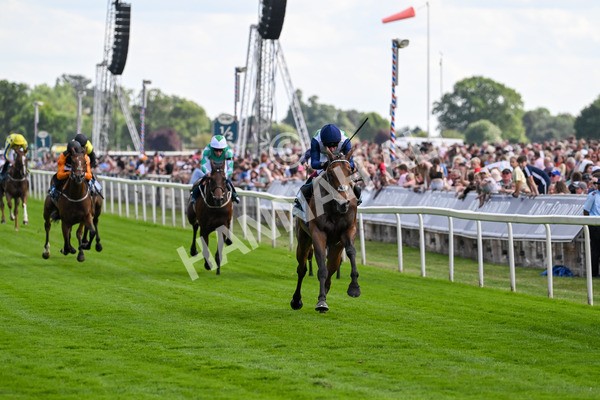 280625-Race 5-Turquino-0784 - Race 5 4.15pm Al Basti Equiworld Dubai Handicap