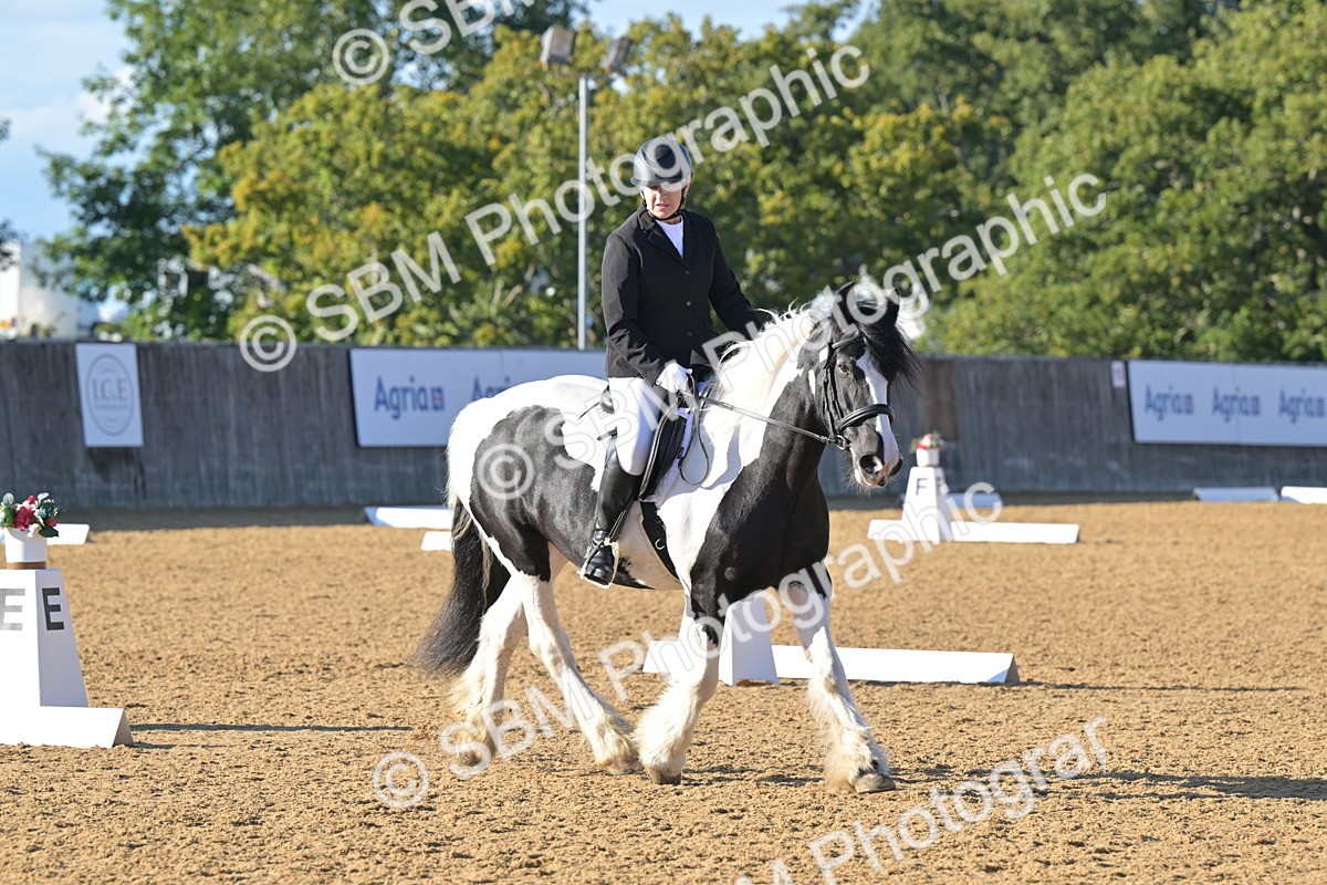 SBM_13017 - D3 - Small Tour Championship Intro 3