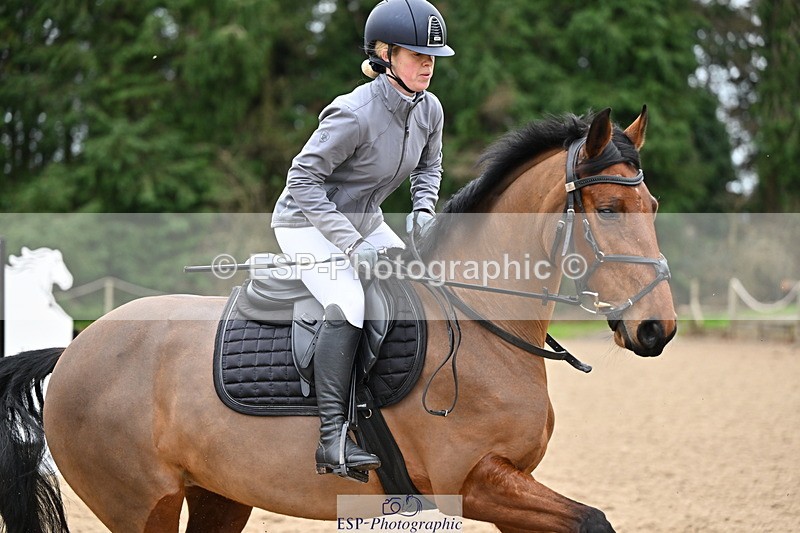 250201A-103332-00253 - Cls 01 Local Horse 90cm