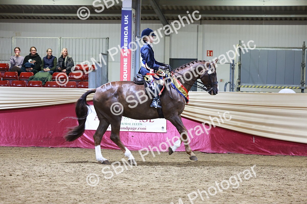 SBM_20722 - Class J - Foreign Breeds Champ