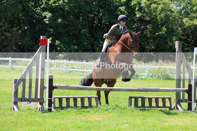 3E7A6954 - Class 30: Novice Working Hunter