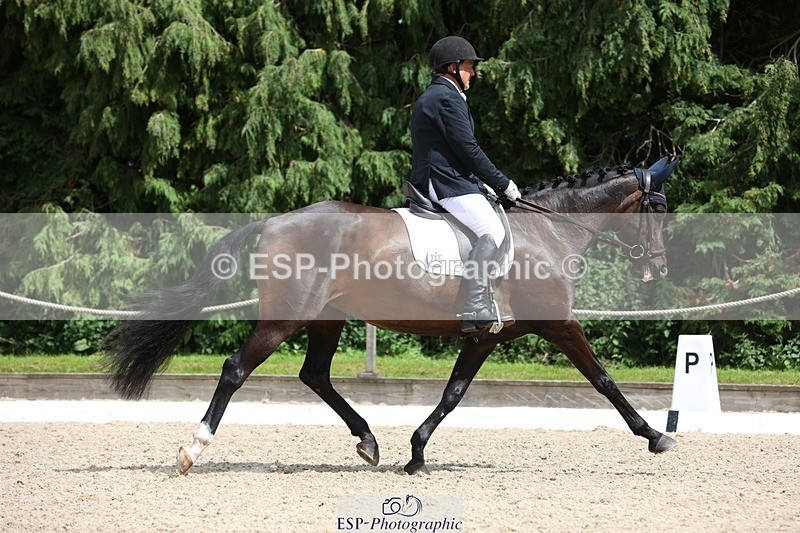230812-140757-04394 - Cls 5 Novice Bronze 13.40 to 14.45 break