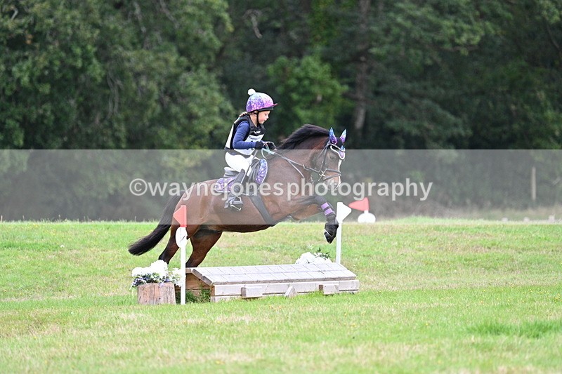 WJ7_7379 - 40cm Time 10:06 to 10:24