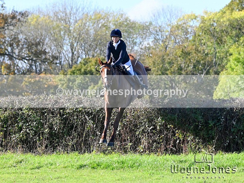 WJ6_4962 - Edited examples