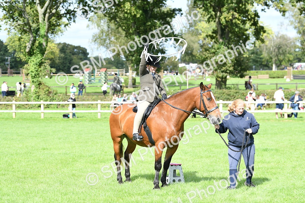 SBM_46870 - S12 - Family Horse & Pony