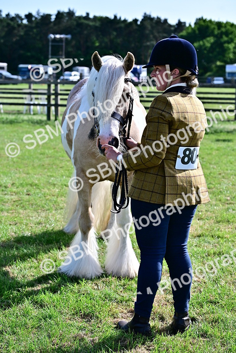 SBM_10118 - Class 63-65 - Traditional Gypsy Cobs In Hand & Ridden