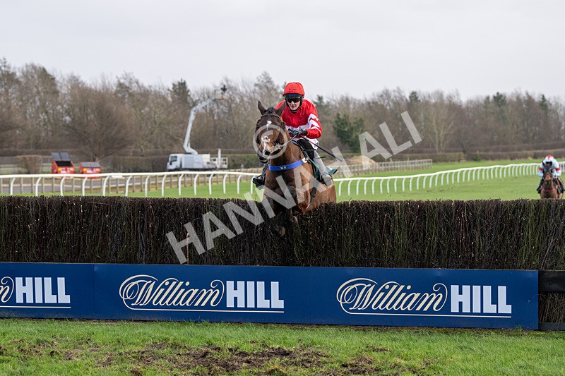 240124-Race 1-Mister Bells-4377 - Race 1