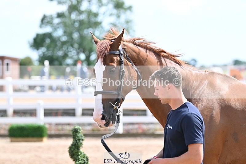 240717A-145902-02399 - Trot Up 2pm to 3pm - This folder is not in time order