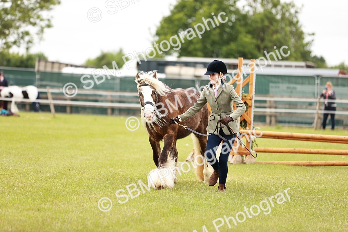 SBM_06056 - Class 39-41 TGCA In Hand and Ridden
