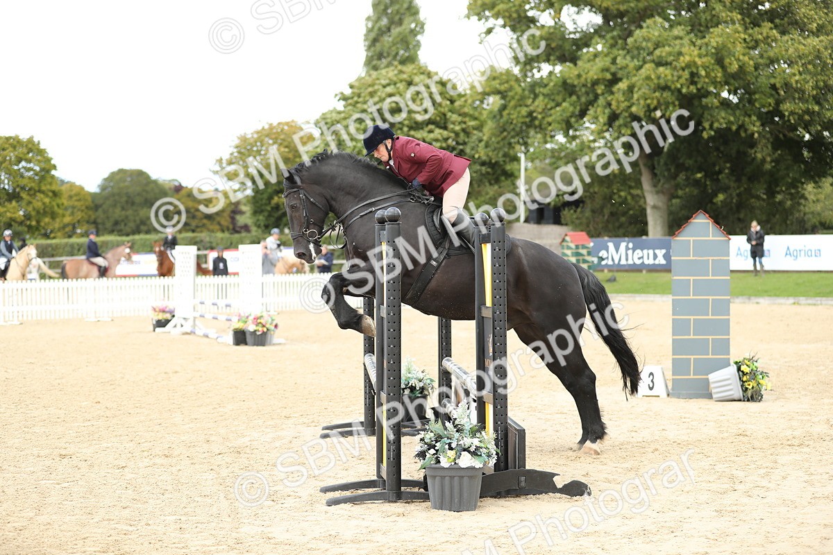 SBM_09867 - J36 - Veteran Rider 70cm