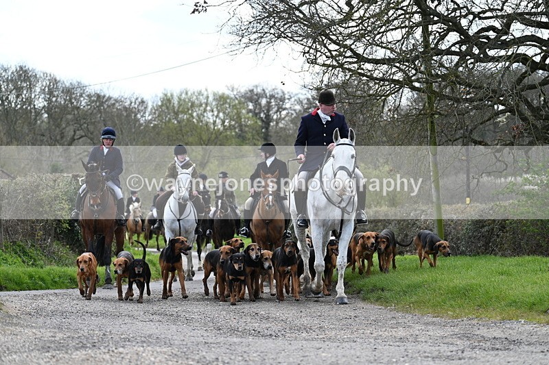 WJ7_9791 - Walk Home