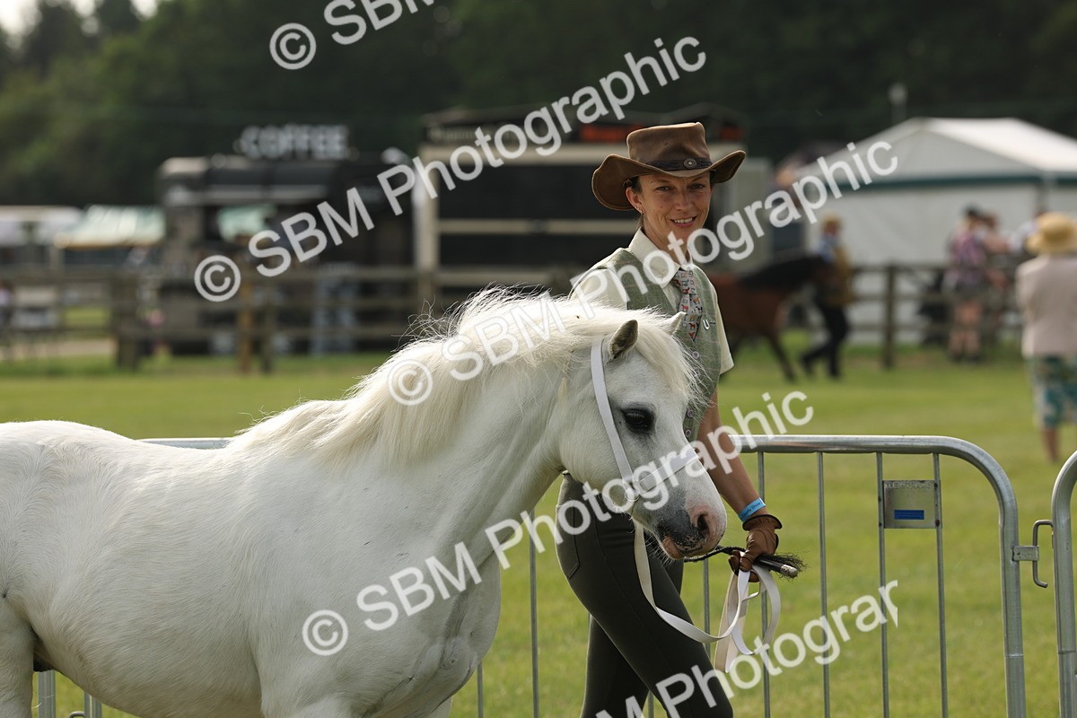 SBM_00475 - Class 6-13 - Mountatin and Moorland In Hand Welsh Breeds